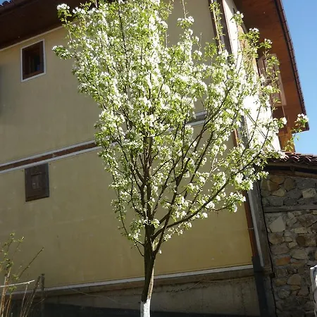 Homestay In Velina House Koprivshtitsa
