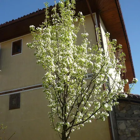 Homestay In Velina House