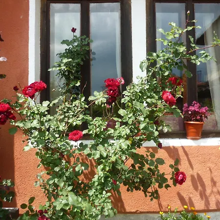 In Velina House *